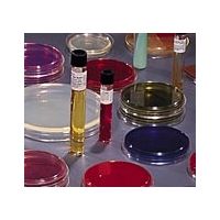 BD BBL Prepared Media QUAD Plates, BD Diagnostics 222201 Enterococcus Screen Agar, With Streptomycin,  Gentamicin, And Vancomycin Quadrants