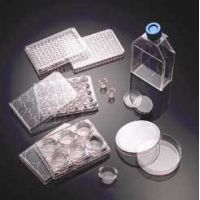 Corning BioCoat Cellware, Collagen Type IV, 354430 Multiwell Plates 24-Well