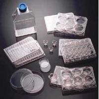 Corning BioCoat Cellware, Laminin, 354533 Culture Flasks T-25 (25 cm2)