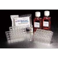 Corning BioCoat HTS Caco-2 Assay Systems, 354801 Hts Caco-2 Assay Systems One Plate Kit