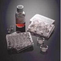 Corning BioCoat Matrigel Matrix Cellware, 354510 Multiwell Plates 6-Well (for Hepatocytes)