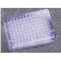 Corning Falcon 96-Well Cell Culture Plates, 351177 Plates With Untreated Surface, Sterile