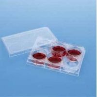 Corning Falcon Cell Culture Companion Plates for Inserts, Sterile, 353502