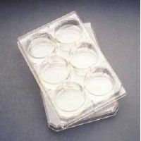 Corning Falcon Multiwell Flat-Bottom Plates with Lids, Sterile, 353072, Case of 50