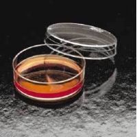 Corning Falcon Tissue Culture Dishes, Polystyrene, Sterile, 353025 Culture Dishes