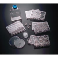 BD Plate Polyd Lys Laminin 6W CS5 354595