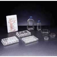 BD Primaria Treated Labware, Sterile, BD Biosciences 353813 Culture Flasks With Plug-Seal Caps 25 cm2, Canted Neck