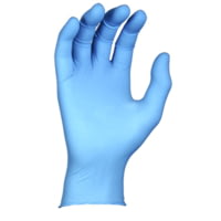 Best Manufacturing N-DEX 4mil Ambidextrous Powder-Free Nitrile Gloves - Poly Bag