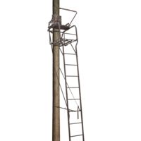 Big Dog Hunting Lancer Pro Ladderstand