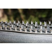 Boss Buck Shark Teeth