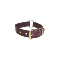 Boston Leather Boston - Center Ring Dog Collar