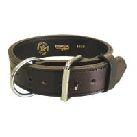 Boston Leather Canine Collar Agitation