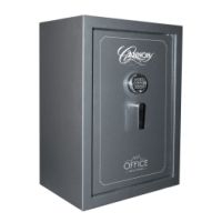 Cannon Safe Office Solutions Gun Safe