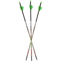 Carbon Express Blade Pro w/Crank