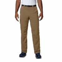 Columbia Silver Ridge Cargo Pant - Men's
