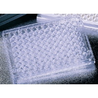 Corning Falcon 96-Well Flat- and Round-Bottom Plates, Bulk Pack, 353916 96-Well Flat-Bottom Plates