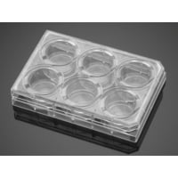Corning PLATES6WL Biocoat Matrigel CS5 354671