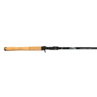 Dobyns Sierra Casting Rod