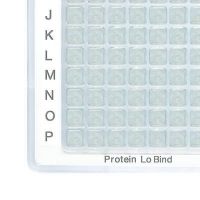 Eppendorf Plate 384w 200 Prot Lob Pk160 925000101