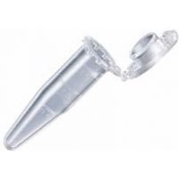 Eppendorf DNA/RNA LoBind Microcentrifuge Tubes 0.5mL PK250 022431005