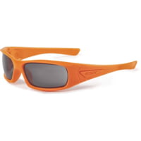 ESS 5B Tactical Sunglasses