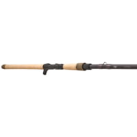 Fenwick HMG Predator Casting Rod