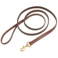 Galco Standard Leash 3/4" 6 Ft Chestnut LT2106CN
