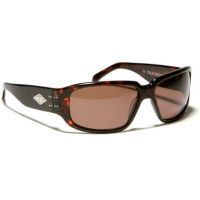 Gatorz Saphron Sunglasses - Acetate