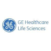 GE Healthcare, Conjugated Antibody, ECL Mouse IgG, HRP-linked whole Ab (from sheep), NA931-1ML