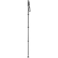 Gitzo Carbon Monopod