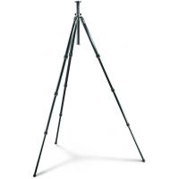 Gitzo Series 2 Basalt Long Tripod - 4 Section G-lock GT2941L