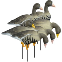 Higdon Outdoors APEX Full-Size Full-Body Variety Specklebelly Pack Decoy