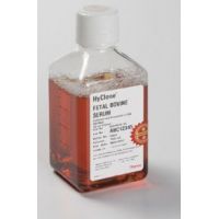 Hyclone, Fetal Bovine Serum, Embryonic Stem Screened, 500ml, SH30070.03E