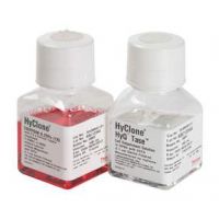 Hyclone Trypsin, 0.25% 1X, with 2.5g porcine trypsin (1:250/L gamma irradiated) in HBSS with 1g/L EDTA, without calcium, magnesium (liquid), SV30031.01