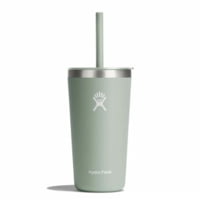 Hydro Flask 20 Oz All Around Tumbler With Straw Lid HDF-T20PS374