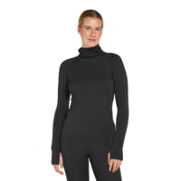 Icebreaker 300 MerinoFine Polar LS Roll Neck Baselayer Top - Women's