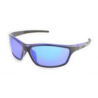 Ironman Fortitude RV Sunglasses