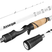 Kast King Assegai Technique Bass Fishing Rods
