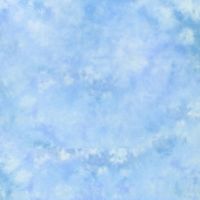 Lastolite 10foot X 12foot Knitted Background - Maine LL-LB7548