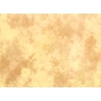 Lastolite Camera Lighting Equipment 6'x7' Collaps. Revers. Bkgrd W/train - Colorado/arizona LL LB67CA