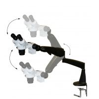 LW Scientific DM 10x/20x Magn. Stereoscope on Pnuematic Arm