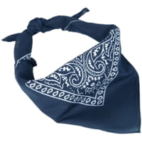 MIL-TEC Bandana - Men's