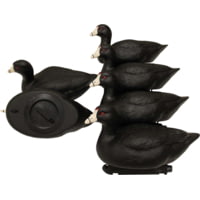 Mojo Coot Confidence Decoys