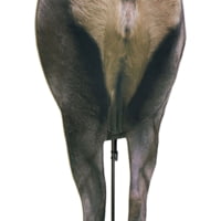 Montana Decoy Co. Backcountry Elk Decoy