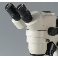 Motic Instruments Head Only SMZ-168-TH PX68.000.001