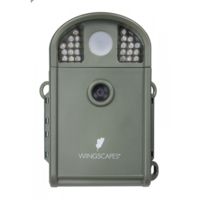 Moultrie Feeders 20 MP Birdcam Pro Trail Camera