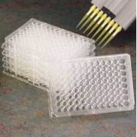 Nunc Plate Maxisorp 96WL 0.4ML CS60 439454