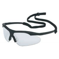 Sperian Eye &amp; Face Protection Ws100 Cruiser Black Frame Clea 812-11150500
