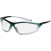 Peltor Safety Glasses