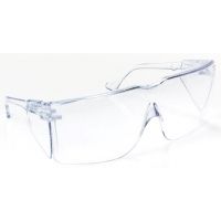 Peltor Tour-Guard Clear Safety Glasses